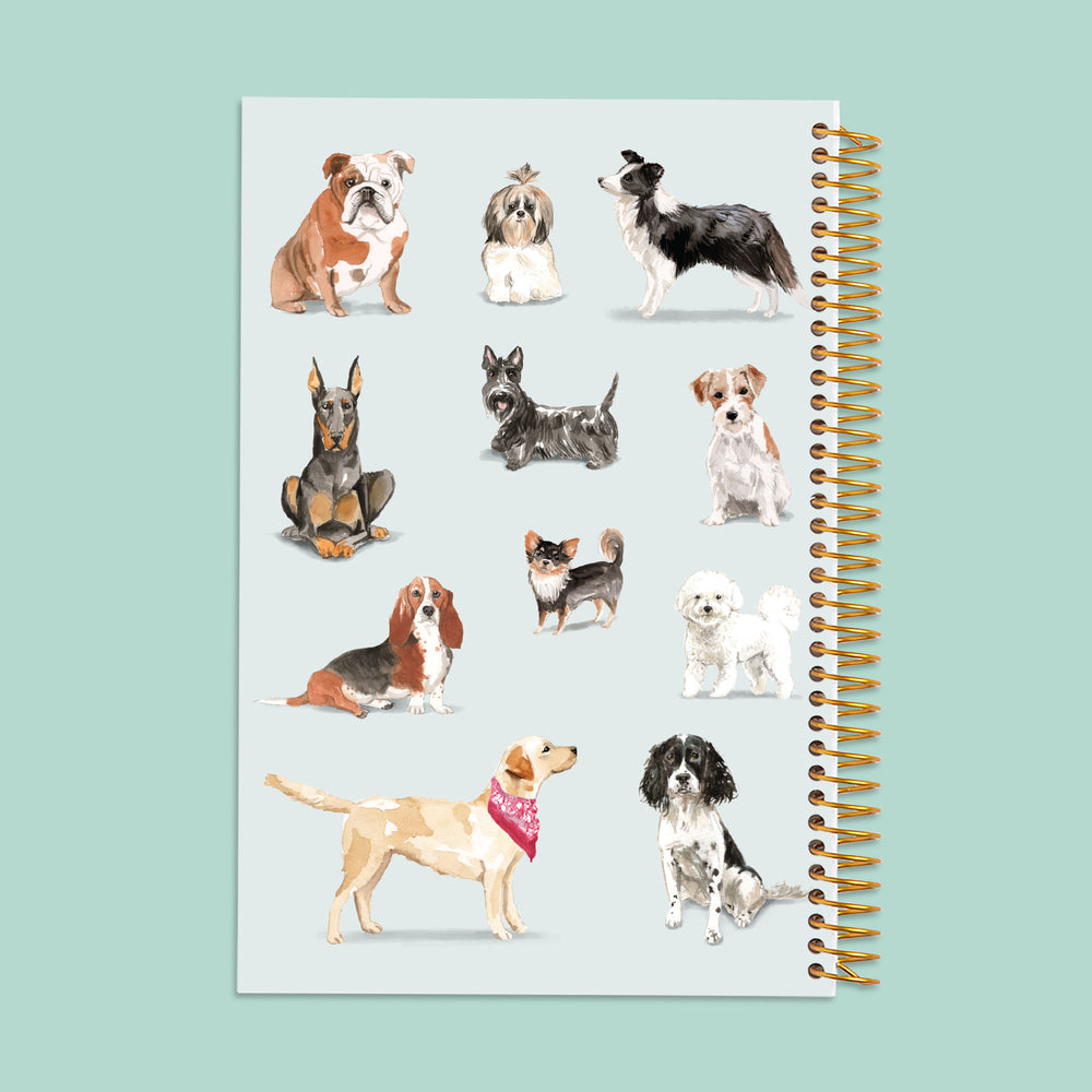 Posy Paper Co.