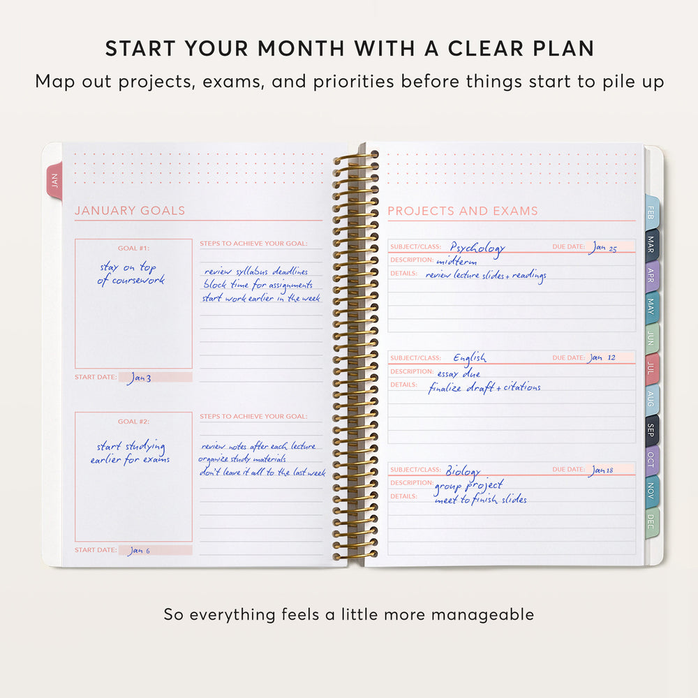 The image is a page from a planner or notebook with a clear plan for the month. It includes sections for January goals, projects and exams, and a section for a journal or diary. The page is organized with a clear layout and includes handwritten notes and dates. The overall appearance of the image is minimalistic and straightforward, focusing on the content rather than excessive details or embellishments.