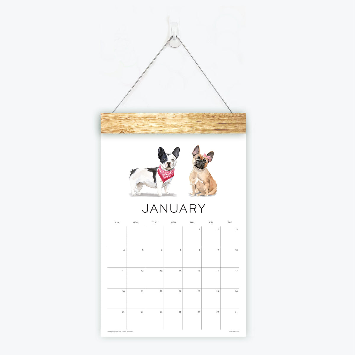 Loyal Companions wall calendar with dog illustrations