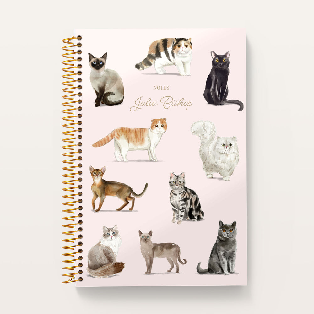 Notebooks
