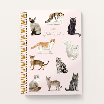 6x9 Notebook/Journal - The Curious Companions