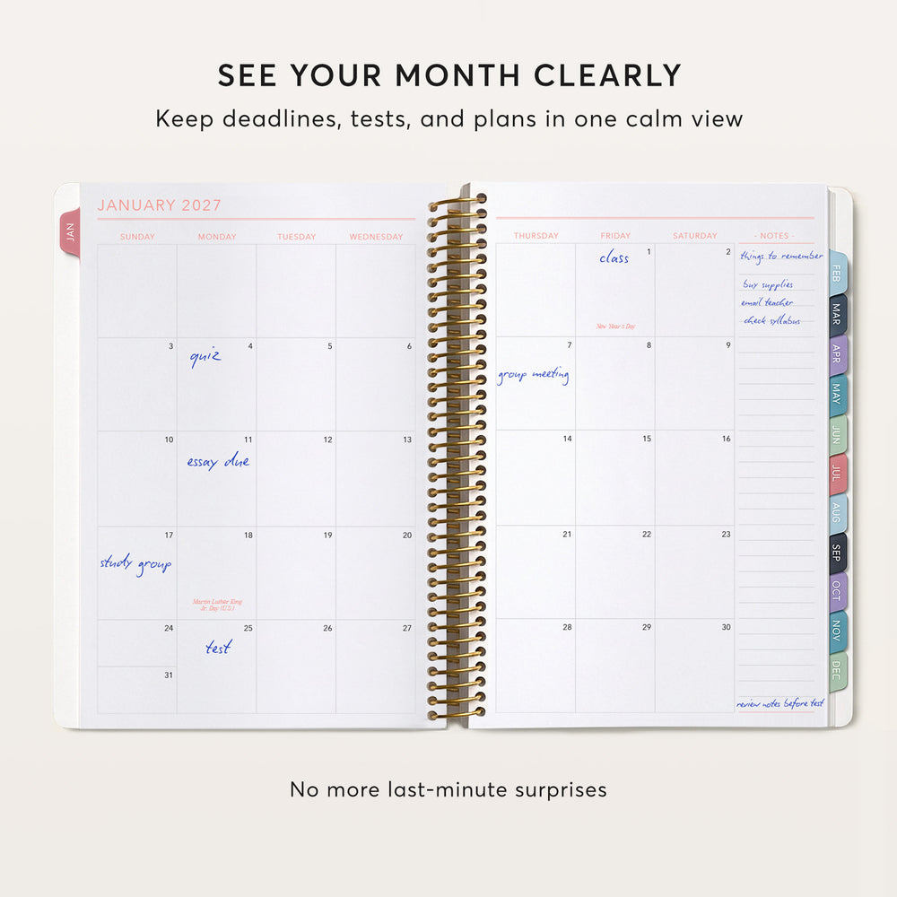 
                  
                    The image is a calendar for January of the year 2017, with a focus on keeping track of deadlines, tests, and plans in a single view.
                  
                