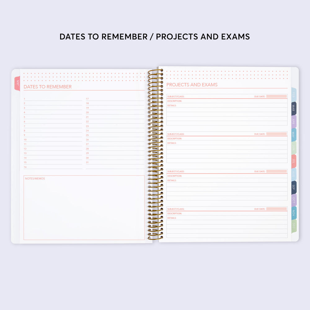 
                  
                    8.5x11 Student Planner - Pink Blue Abstract Ink
                  
                